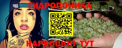 бошки Моздок