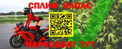 PSILOCYBIN Можга