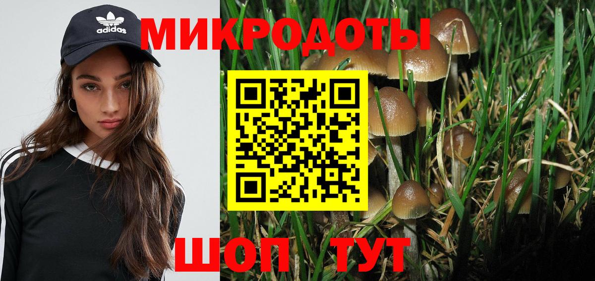 Уварово  Псилоцибиновые грибы Psilocybine cubensis  Вход с VPN 